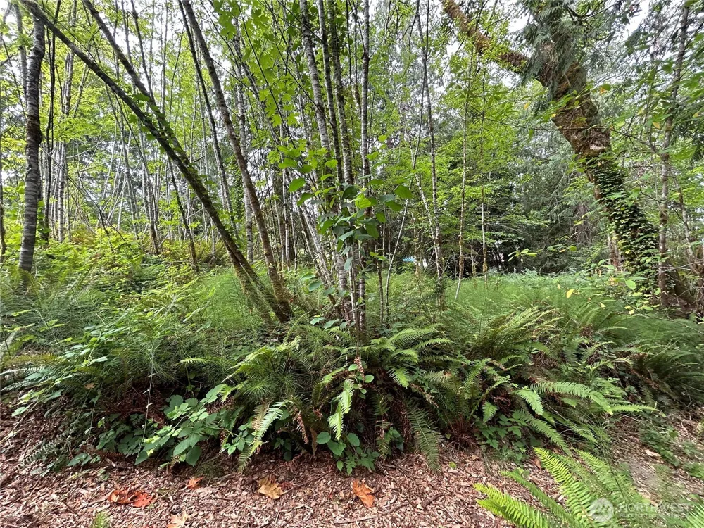 19401 Whiteman Cove Road SW Longbranch, WA 98351