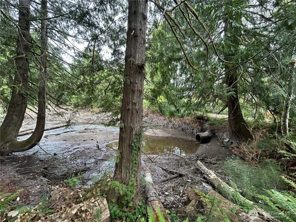 19401 Whiteman Cove Road SW Longbranch, WA 98351