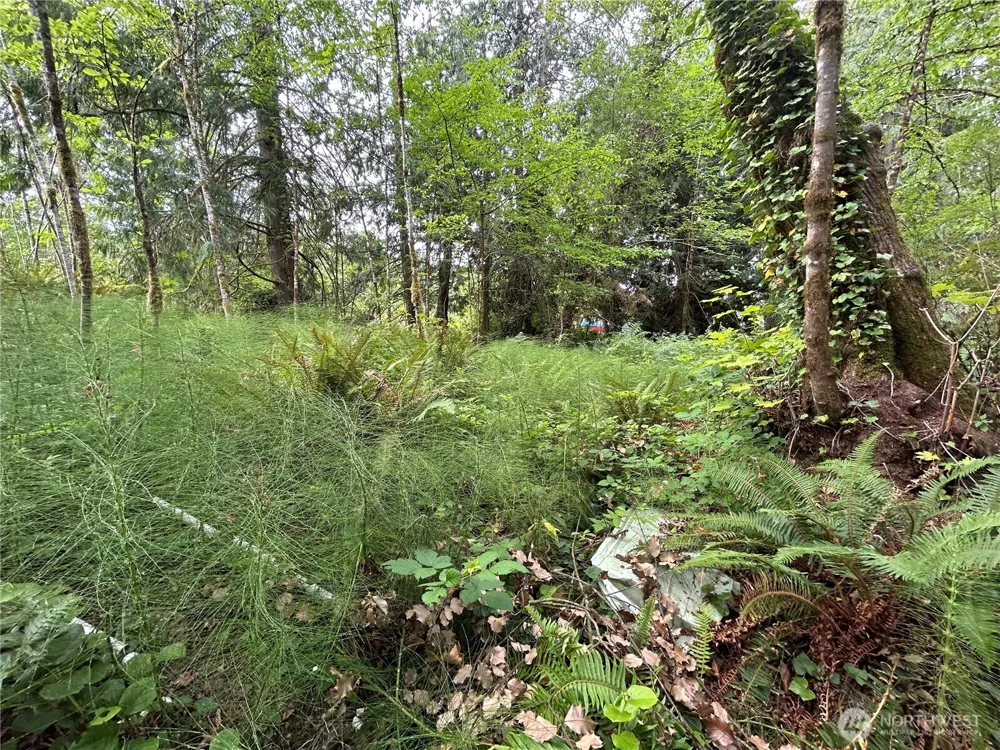 19401 Whiteman Cove Road SW Longbranch, WA 98351