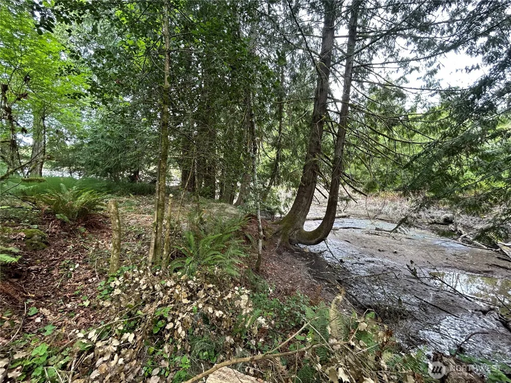 19401 Whiteman Cove Road SW Longbranch, WA 98351
