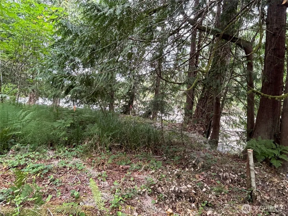 19401 Whiteman Cove Road SW Longbranch, WA 98351