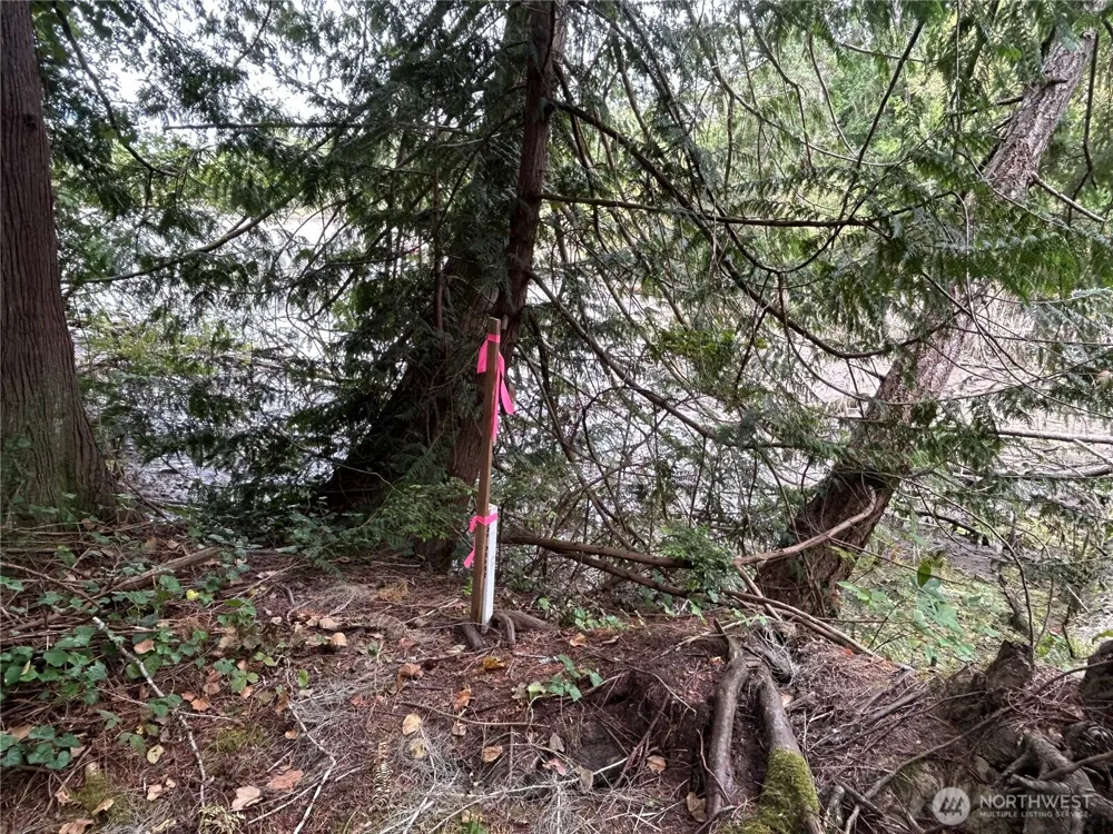 19401 Whiteman Cove Road SW Longbranch, WA 98351
