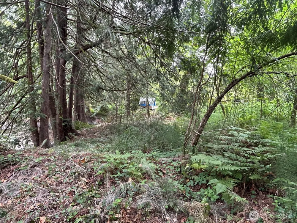 19401 Whiteman Cove Road SW Longbranch, WA 98351