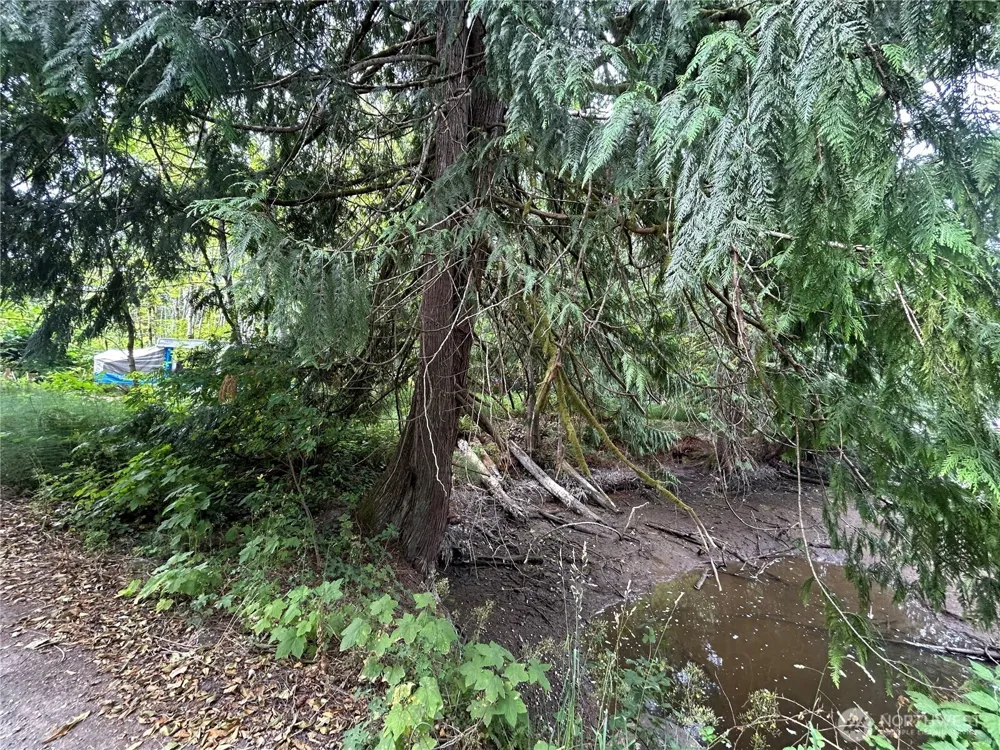 19401 Whiteman Cove Road SW Longbranch, WA 98351