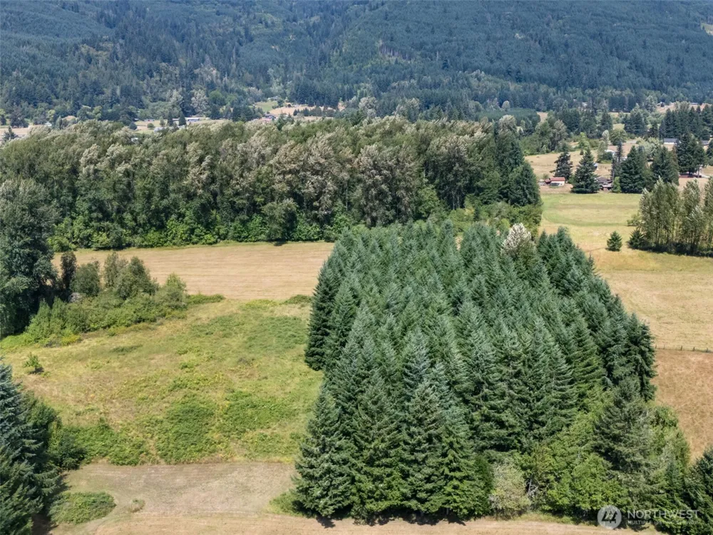 0 XXX US Hwy 12 Glenoma, WA 98336