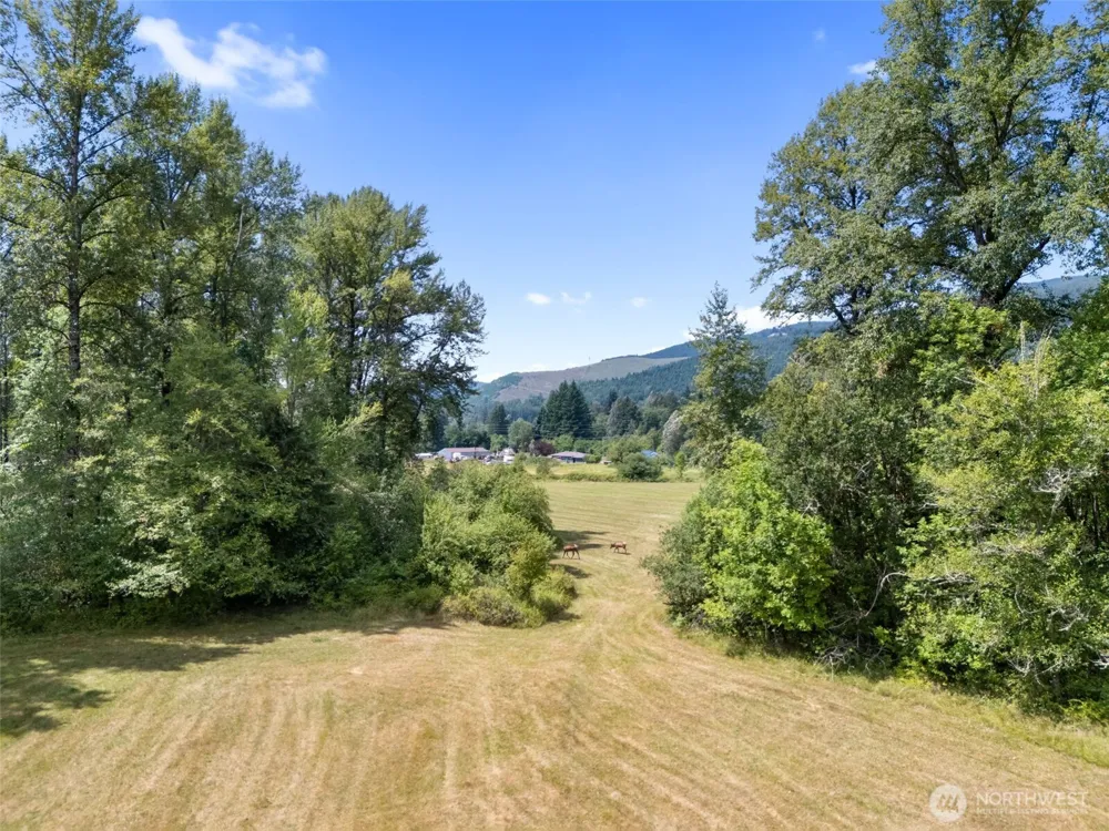 0 XXX US Hwy 12 Glenoma, WA 98336