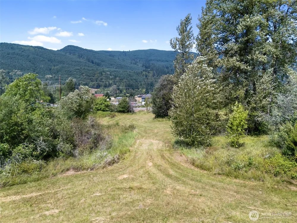 0 XXX US Hwy 12 Glenoma, WA 98336