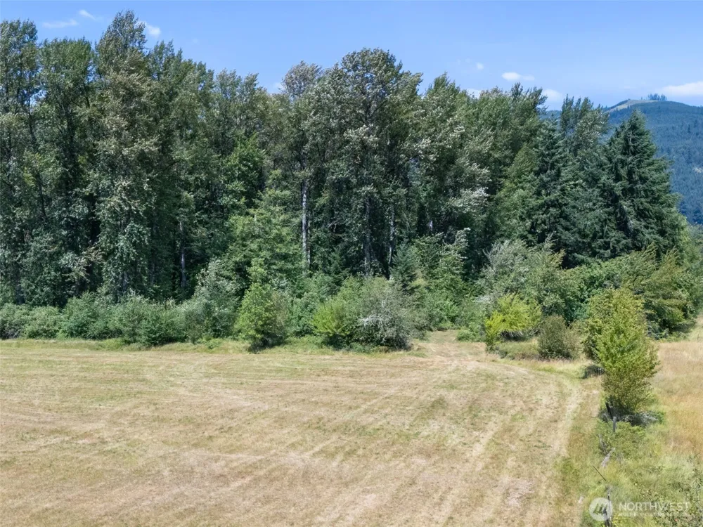 0 XXX US Hwy 12 Glenoma, WA 98336