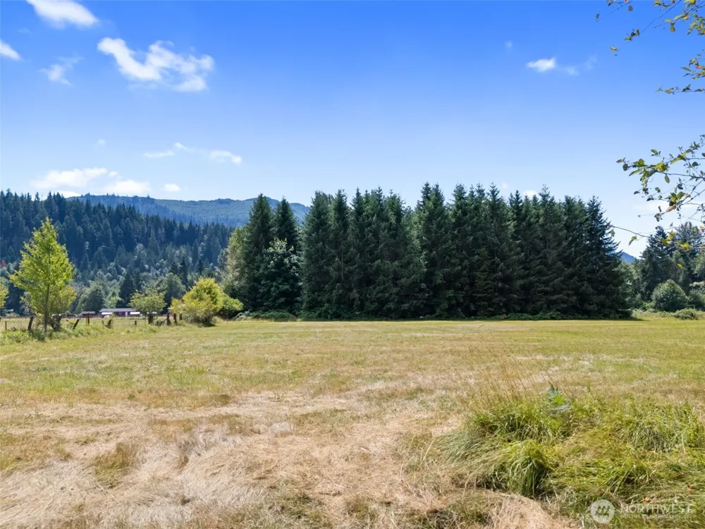 0 XXX US Hwy 12 Glenoma, WA 98336
