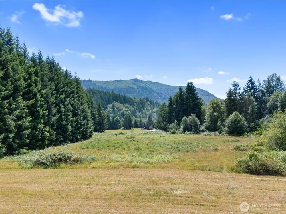 0 XXX US Hwy 12 Glenoma, WA 98336
