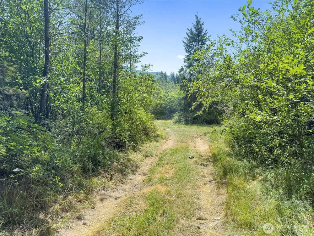 0 XXX US Hwy 12 Glenoma, WA 98336