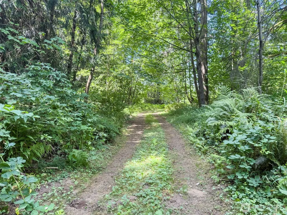 0 XXX US Hwy 12 Glenoma, WA 98336