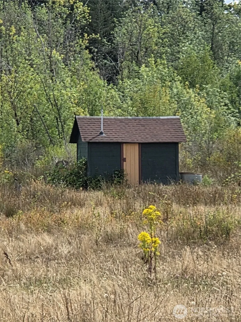 32002 48th Avenue S Roy, WA 98580