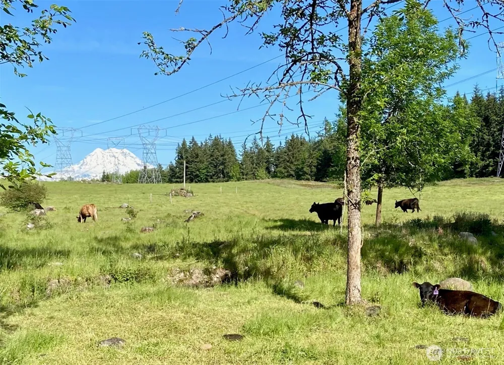 32002 48th Avenue S Roy, WA 98580