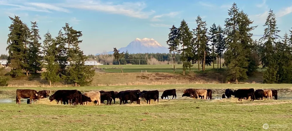 32002 48th Avenue S Roy, WA 98580