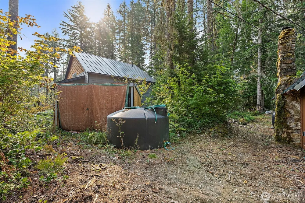 270 Skate Creek Road Ashford, WA 98304