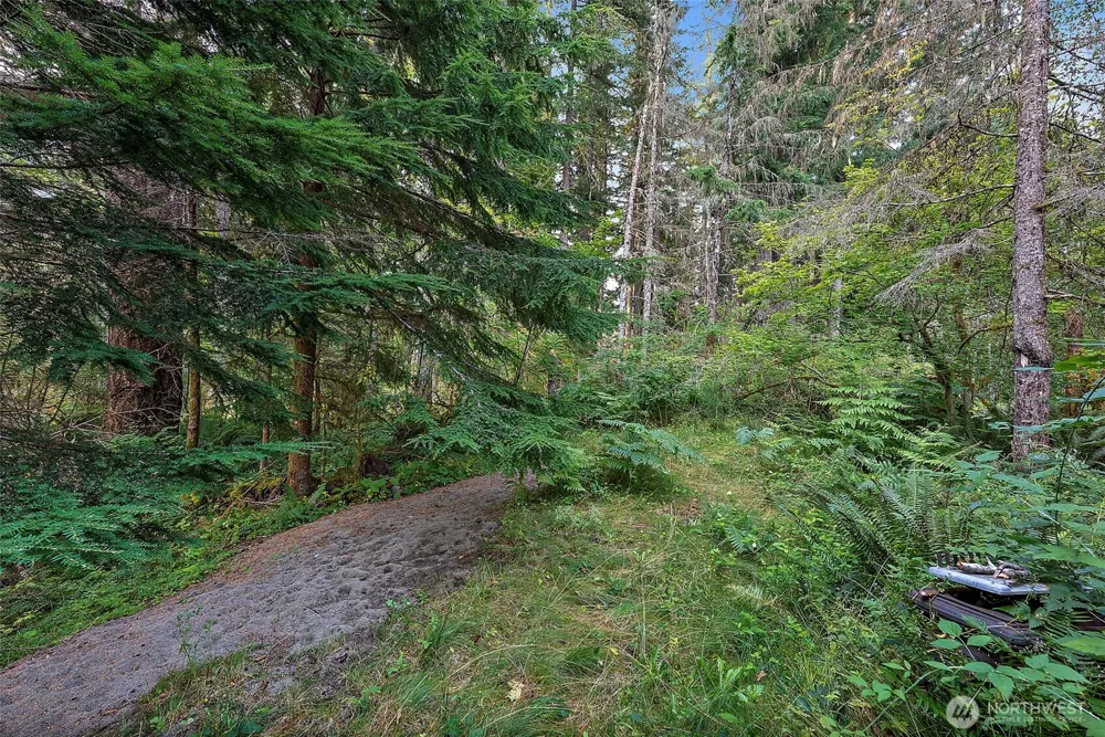 270 Skate Creek Road Ashford, WA 98304