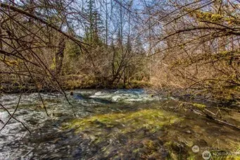 270 Skate Creek Road Ashford, WA 98304