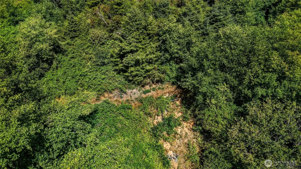 3009 Lamontay Place Ilwaco, WA 98624