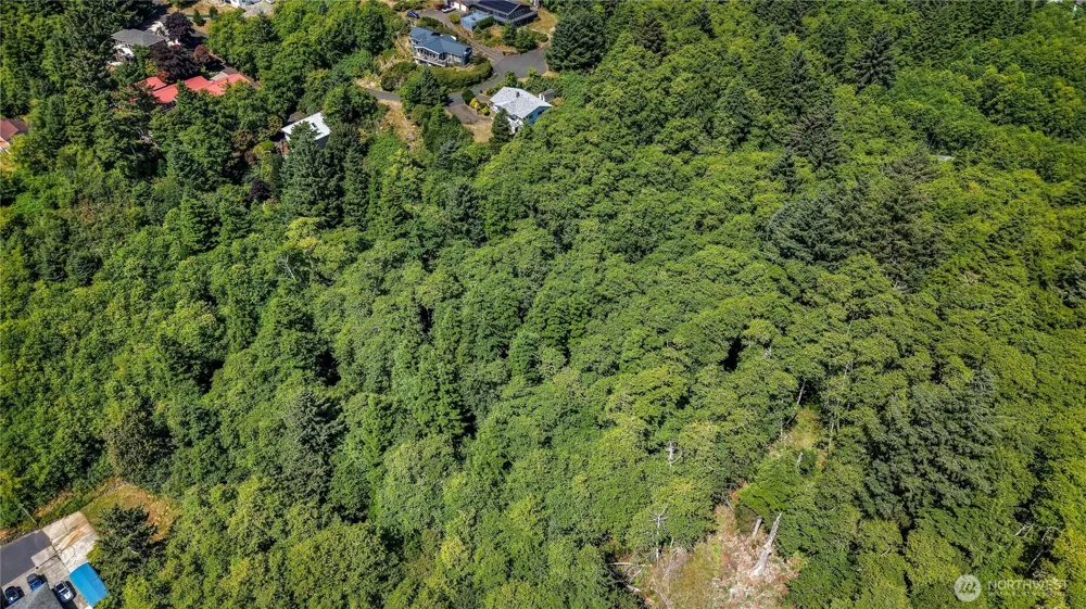 3009 Lamontay Place Ilwaco, WA 98624
