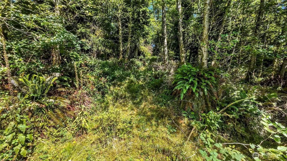 3009 Lamontay Place Ilwaco, WA 98624