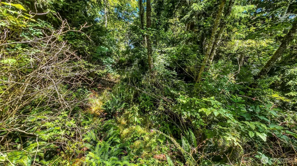 3009 Lamontay Place Ilwaco, WA 98624