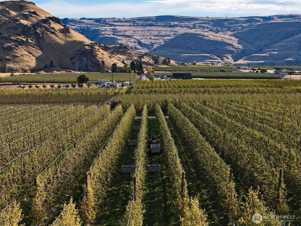 263 Oliver Lane Chelan, WA 98816