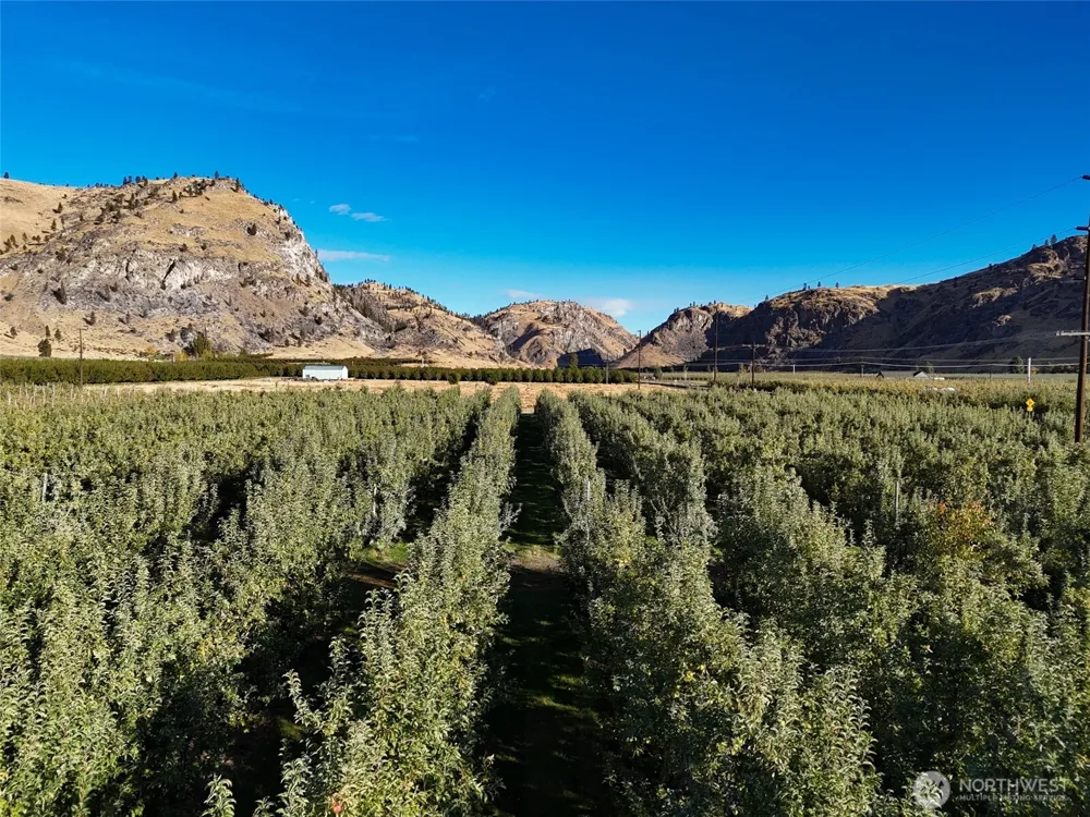263 Oliver Lane Chelan, WA 98816