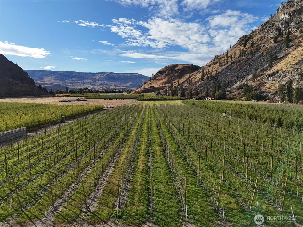263 Oliver Lane Chelan, WA 98816