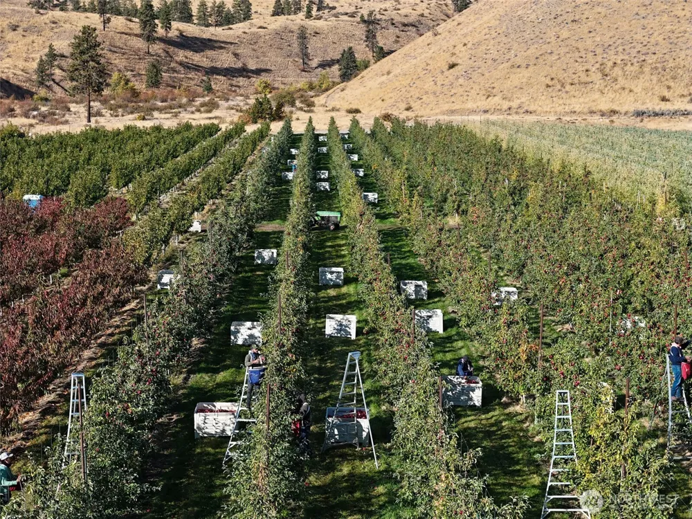 263 Oliver Lane Chelan, WA 98816