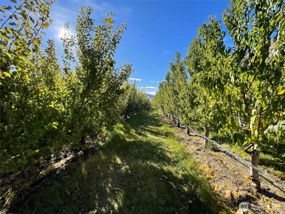 263 Oliver Lane Chelan, WA 98816