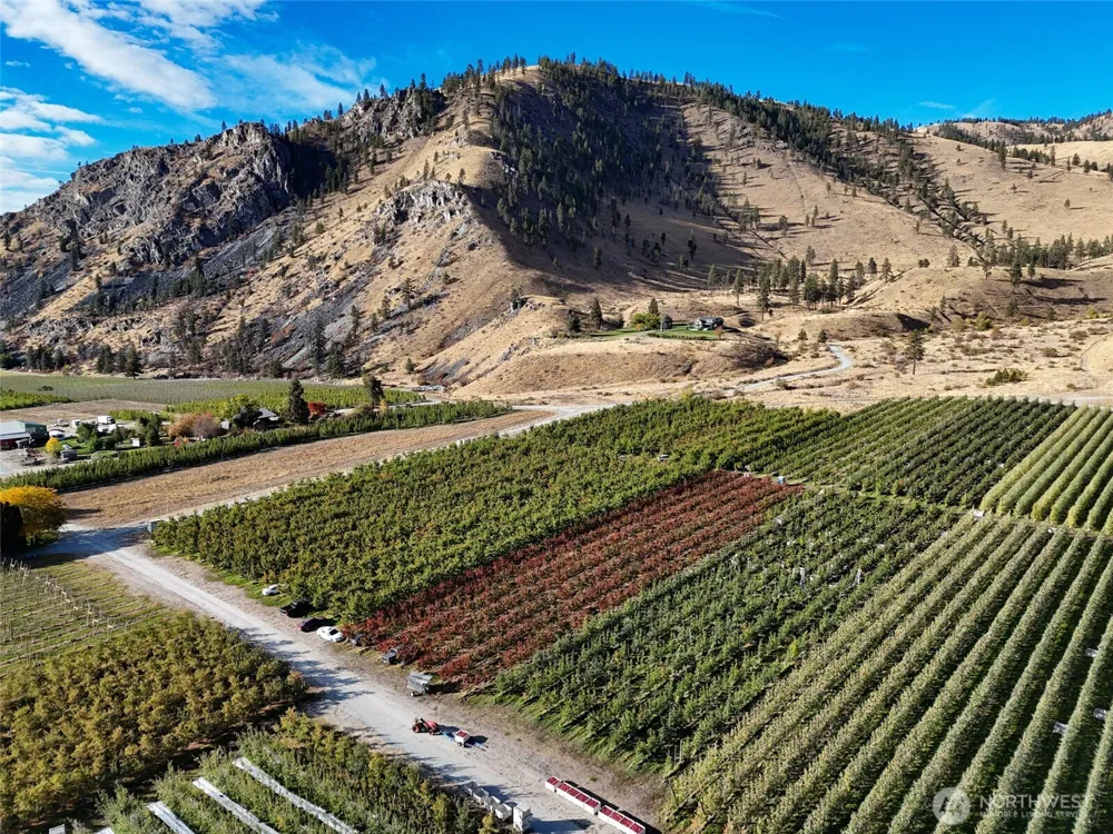 263 Oliver Lane Chelan, WA 98816