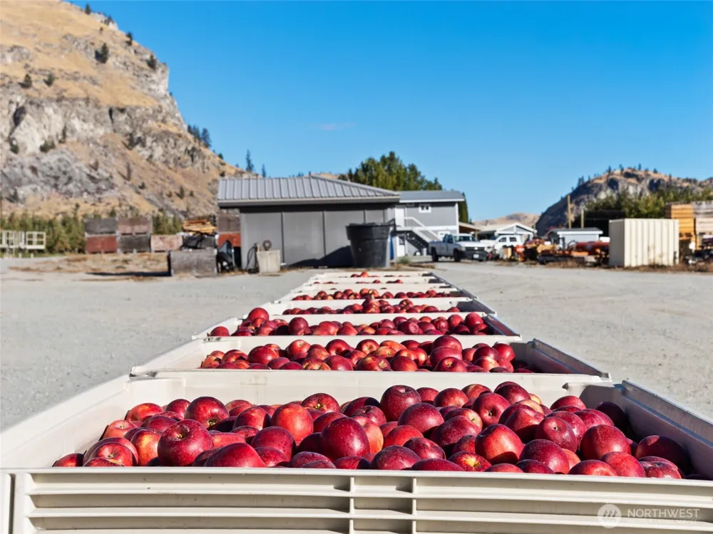 263 Oliver Lane Chelan, WA 98816