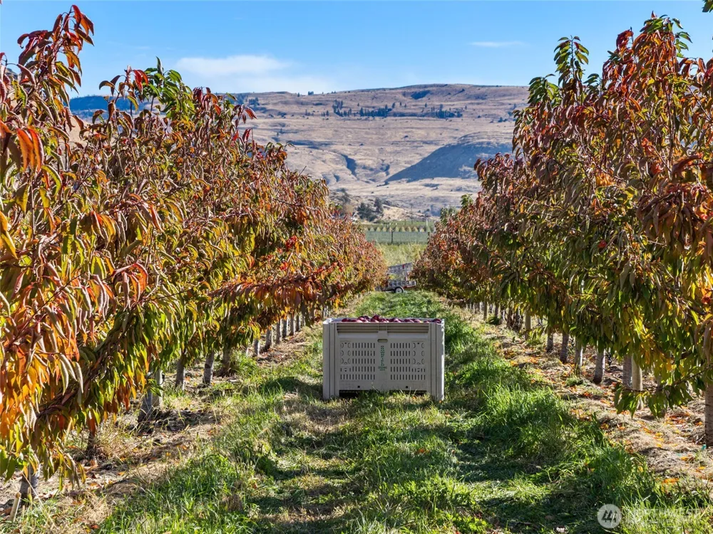 263 Oliver Lane Chelan, WA 98816