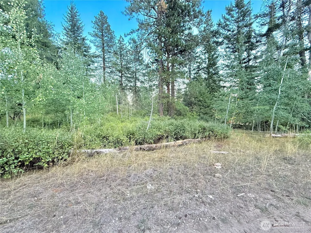 0 TBD Buzzard Lake Road Okanogan, WA 98840