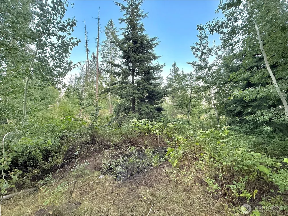 0 TBD Buzzard Lake Road Okanogan, WA 98840