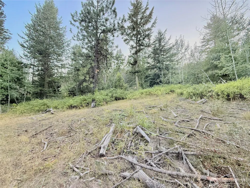 0 TBD Buzzard Lake Road Okanogan, WA 98840