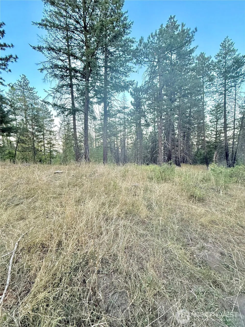0 TBD Buzzard Lake Road Okanogan, WA 98840