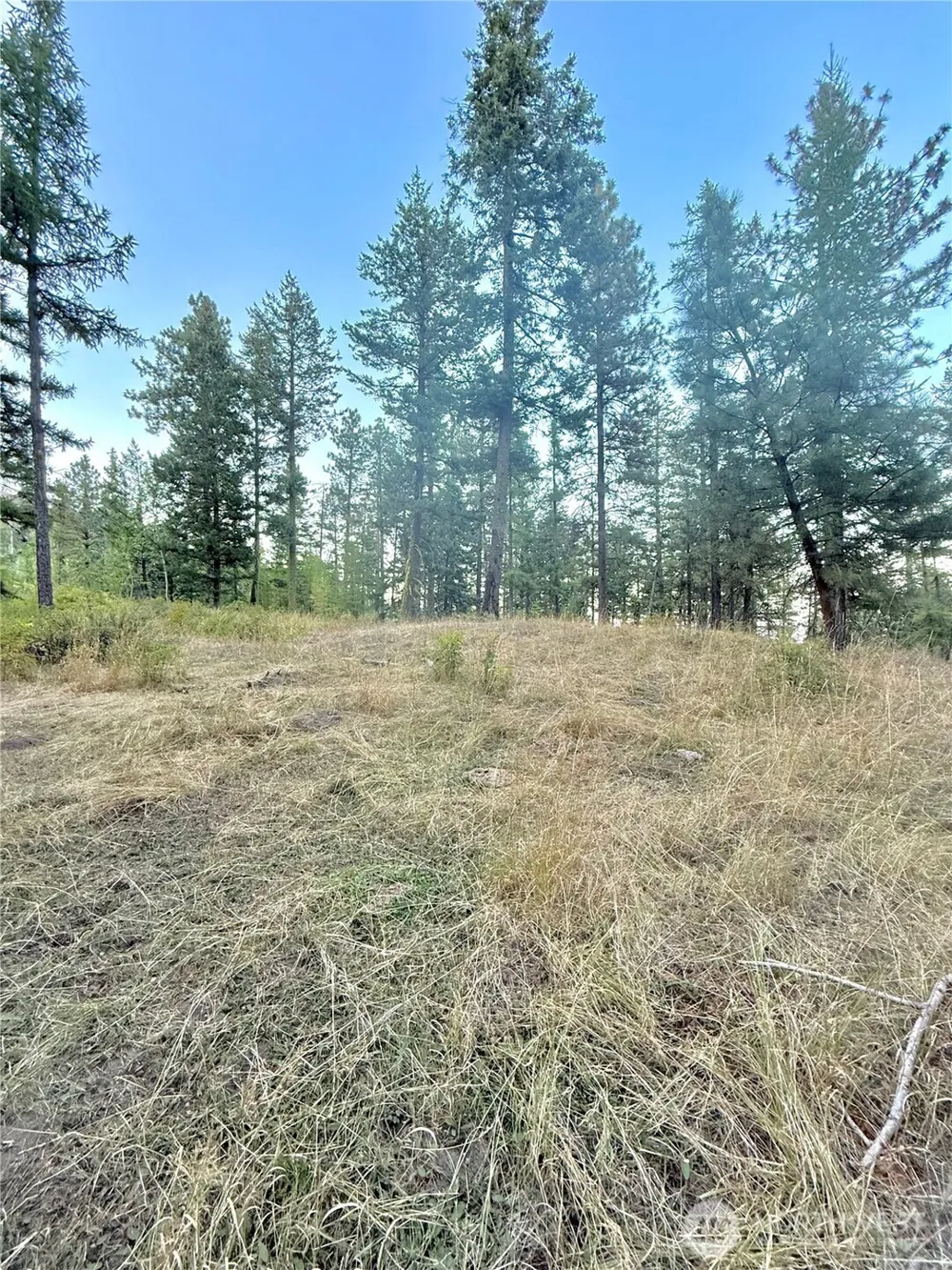 0 TBD Buzzard Lake Road Okanogan, WA 98840