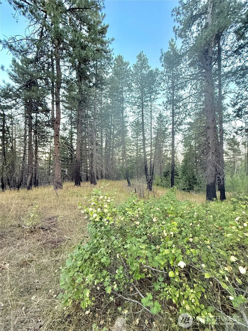 0 TBD Buzzard Lake Road Okanogan, WA 98840
