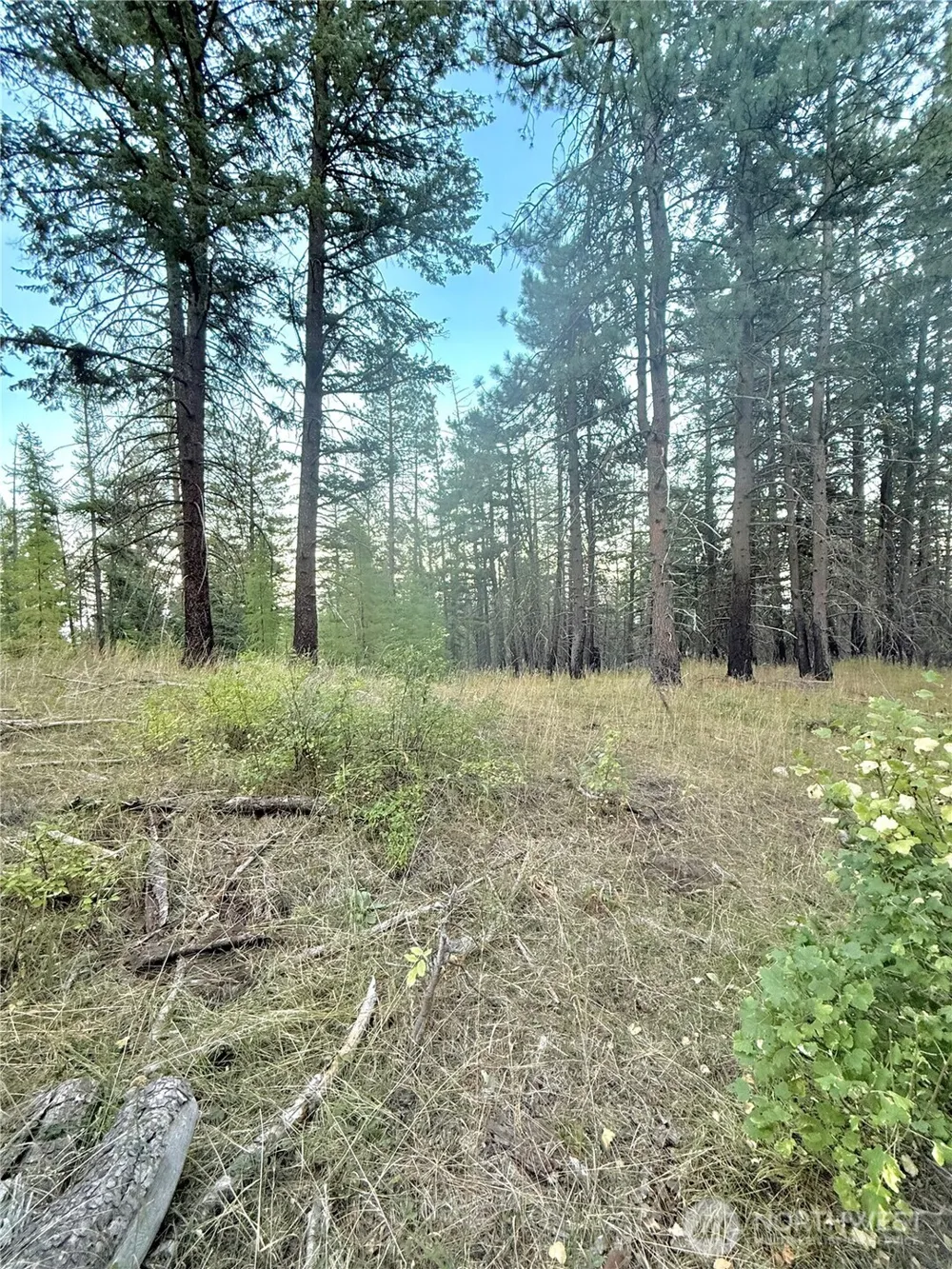 0 TBD Buzzard Lake Road Okanogan, WA 98840