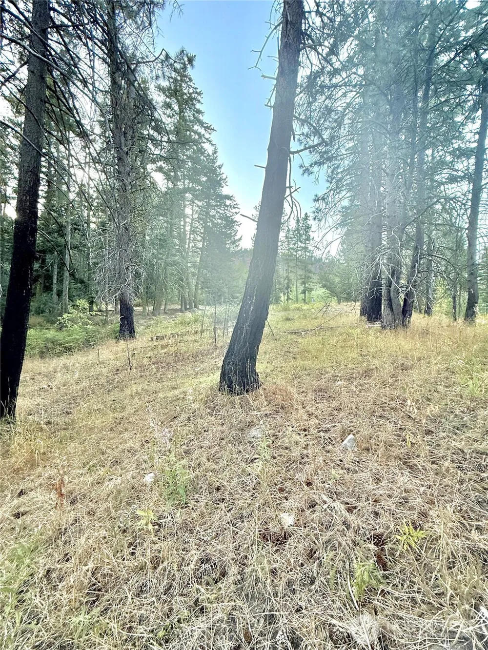 0 TBD Buzzard Lake Road Okanogan, WA 98840