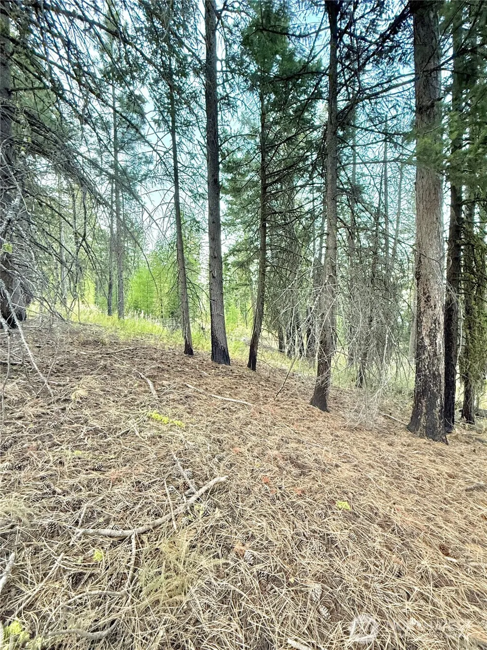 0 TBD Buzzard Lake Road Okanogan, WA 98840