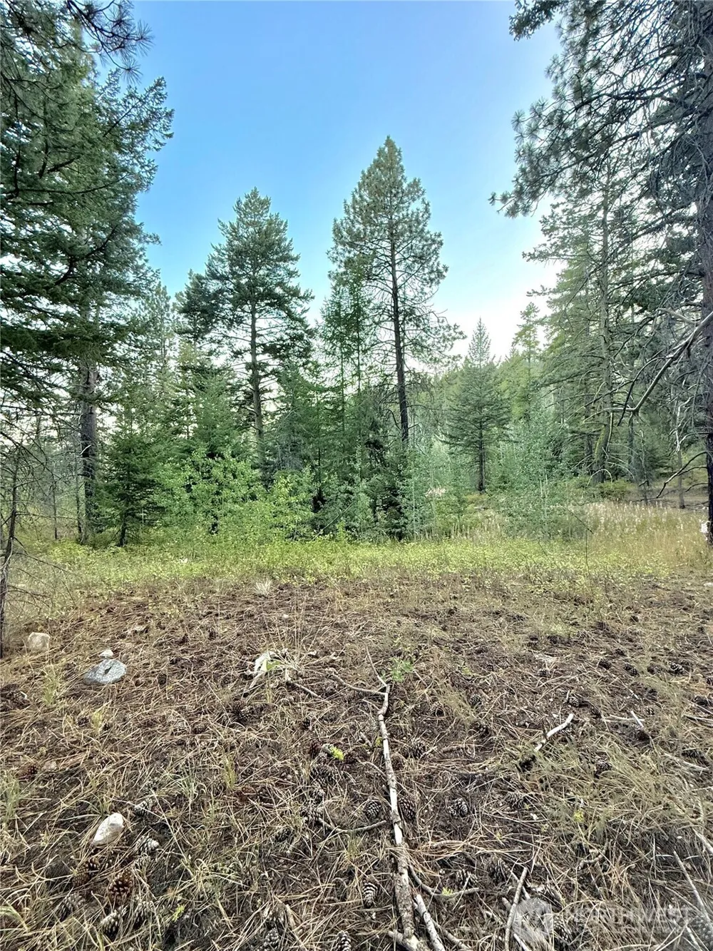 0 TBD Buzzard Lake Road Okanogan, WA 98840