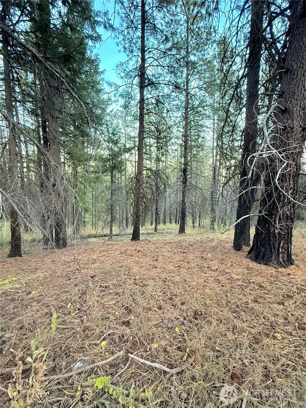 0 TBD Buzzard Lake Road Okanogan, WA 98840