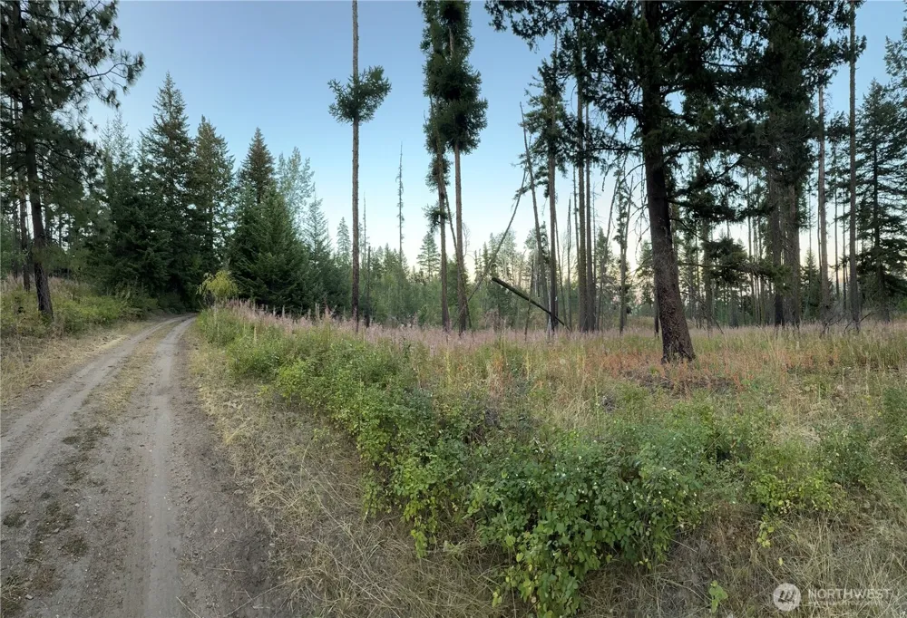 0 TBD Buzzard Lake Road Okanogan, WA 98840