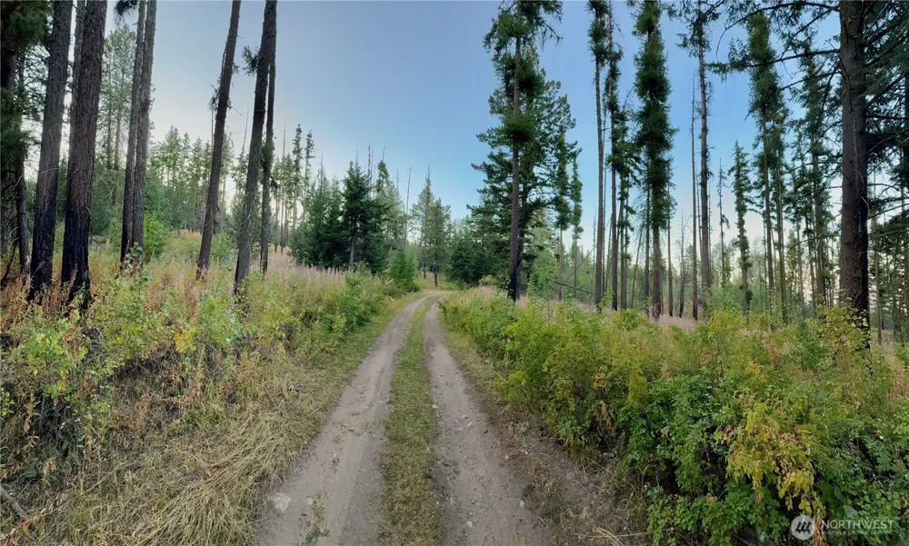 0 TBD Buzzard Lake Road Okanogan, WA 98840