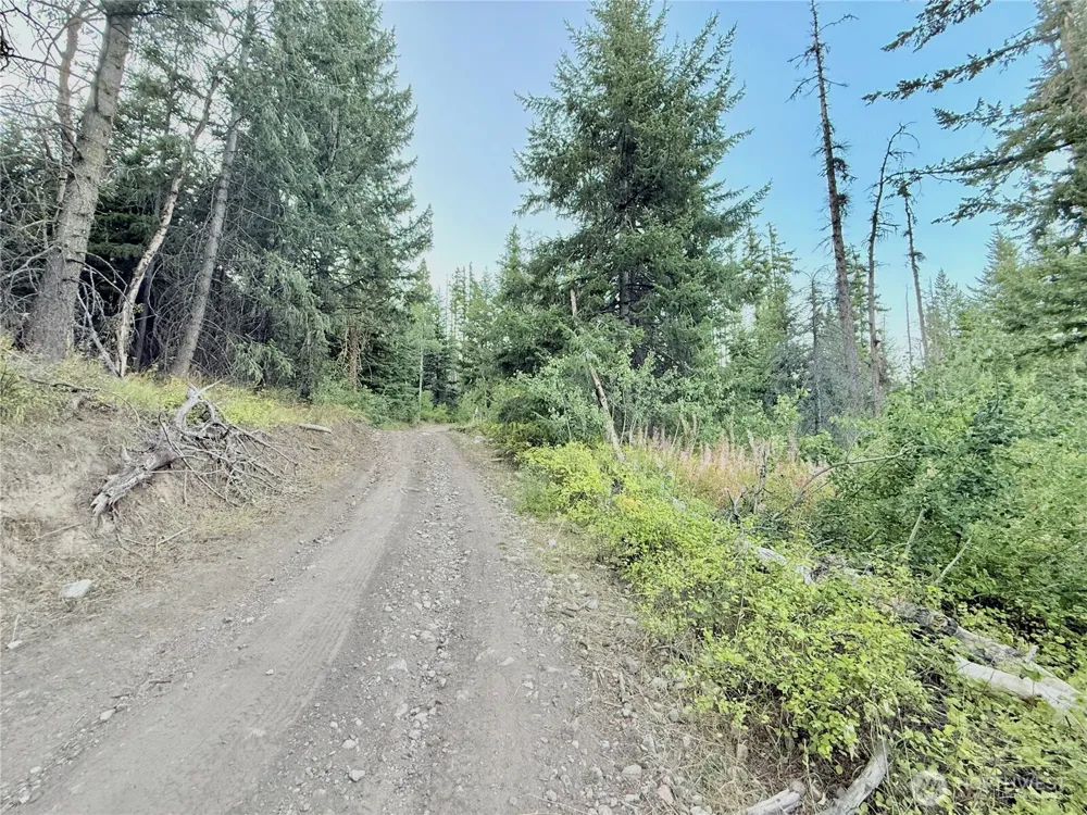0 TBD Buzzard Lake Road Okanogan, WA 98840