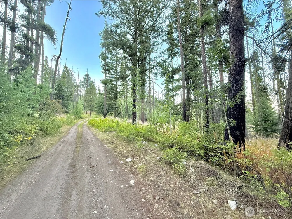0 TBD Buzzard Lake Road Okanogan, WA 98840