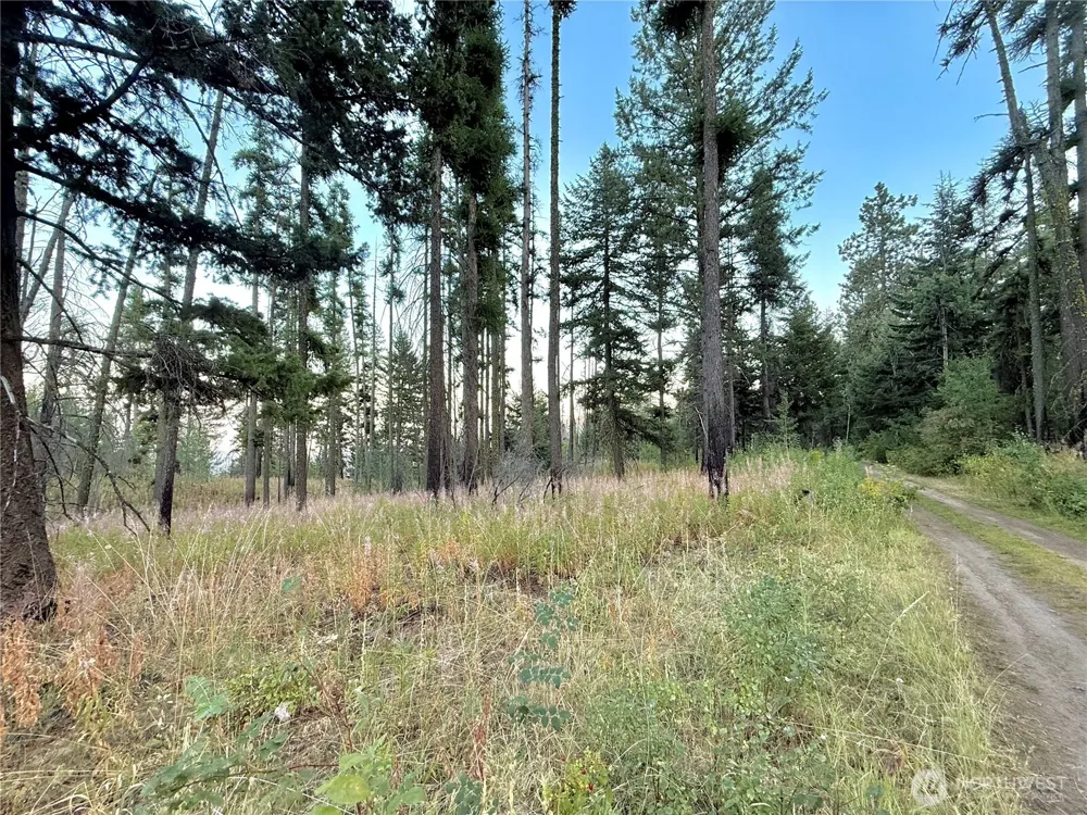 0 TBD Buzzard Lake Road Okanogan, WA 98840